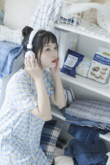 花翎飞盗